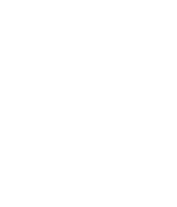 Strut